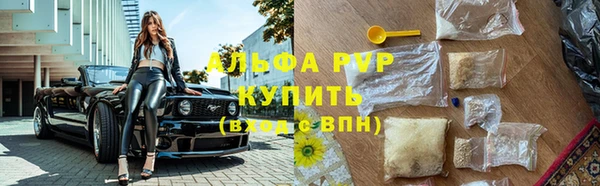 прущие крисы Михайлов