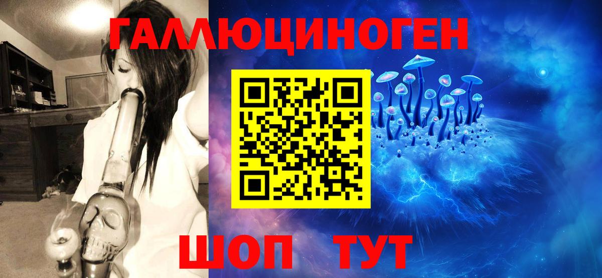 Псилоцибиновые грибы Psilocybine cubensis Салават