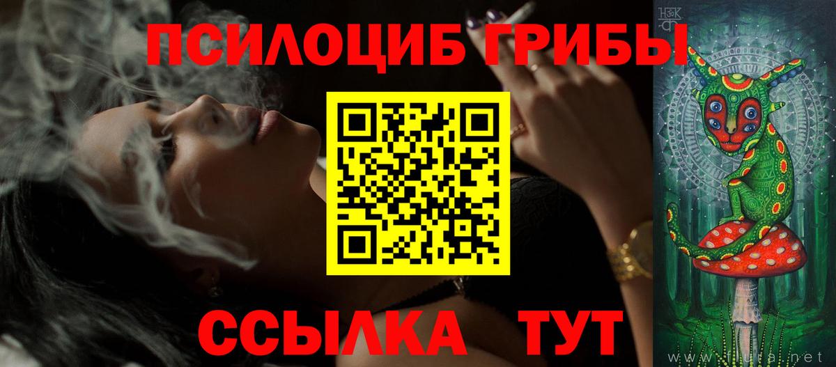 Псилоцибиновые грибы GOLDEN TEACHER Салават