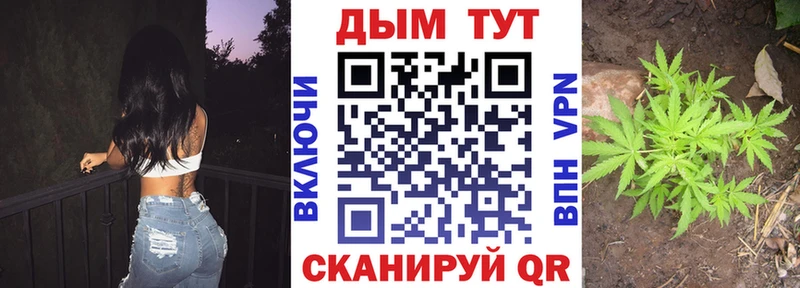 Бошки Шишки сатива  купить наркотики цена  Салават 
